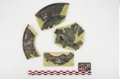 Foto von Bronzephalere (NHMW-PRAE-025405)